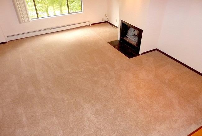 /static/images/house/22882/0f1a0e4a72c8e359fdb3eade54e8cdff.jpg